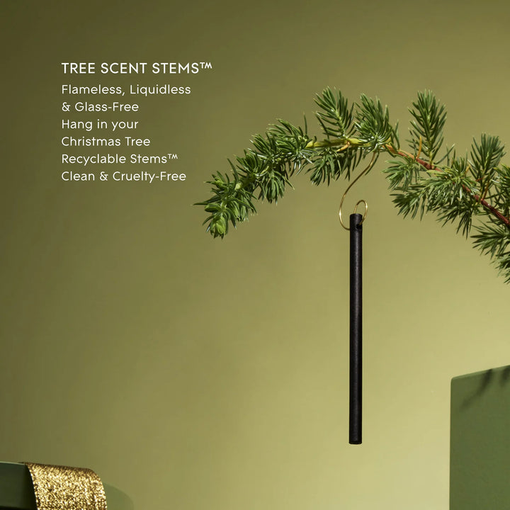 Glasshouse  Winter Wonderland Tree Scent Stems (10)