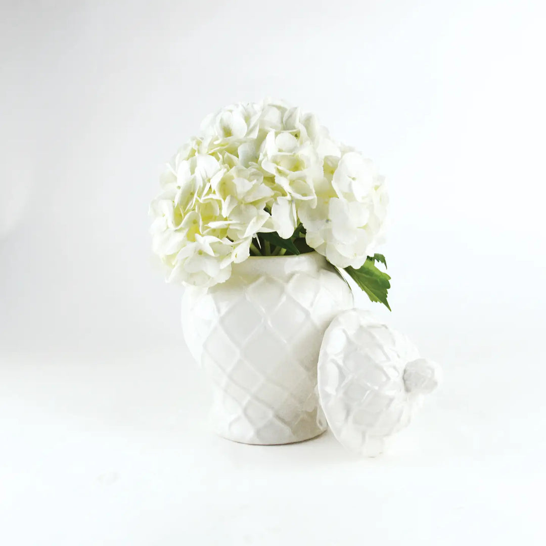 Ginger Jar White - Small